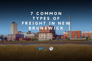 7 Common Types of Freight in New Brunswick